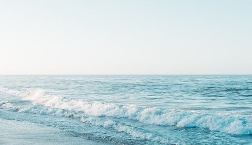 仮想通貨初心者はまず知っておきたい！取引所と販売所の違いを徹底解説